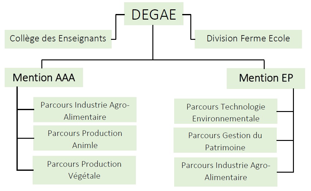 La Direction de l’Ecole de Génie en Agronomie et Environnement comprend les Services suivantes :